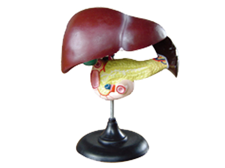 SD-093 33216ʮ֬cKģ