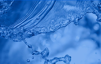 廈門大學(xué)黨委書記楊振斌一行蒞臨公司考察